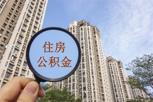 大丰哈尔滨住房公积金提取（大丰哈尔滨住房公积金提取代办）